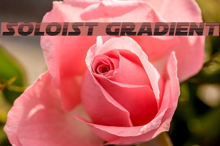 Soloist Gradient Font examples