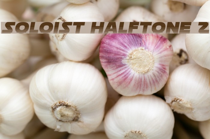 Soloist Halftone 2 Example 2