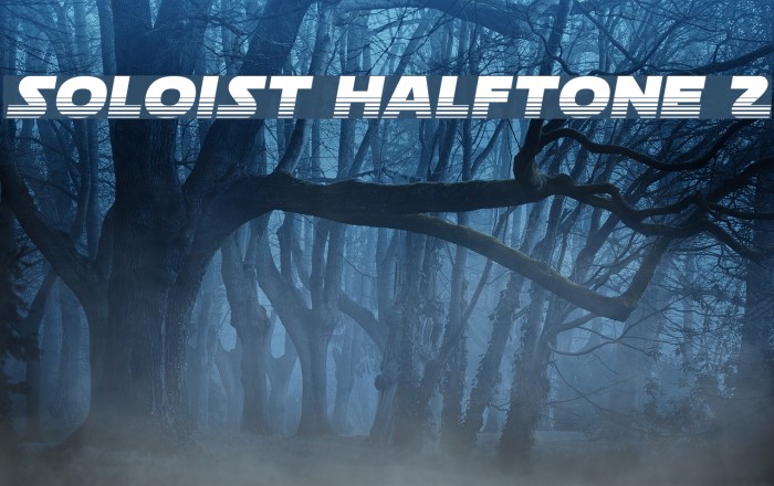 Soloist Halftone 2 Example 3