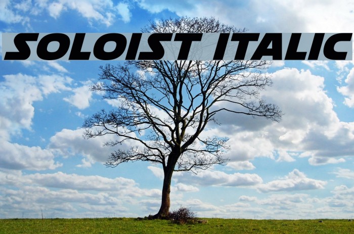 Soloist Italic Font examples