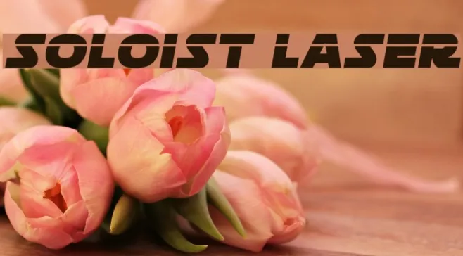 Soloist Laser Example 2