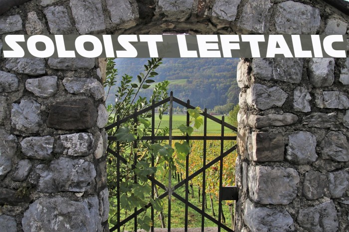 Soloist Leftalic Font examples