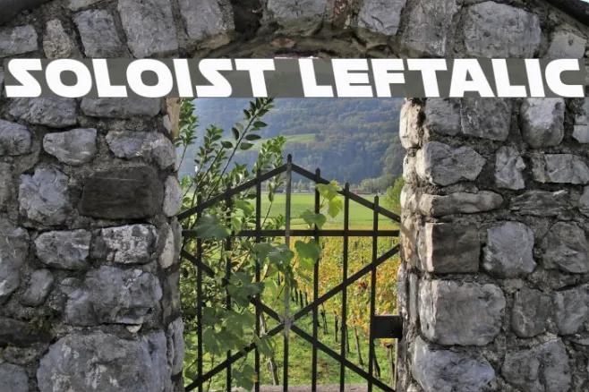 Soloist Leftalic Example 2