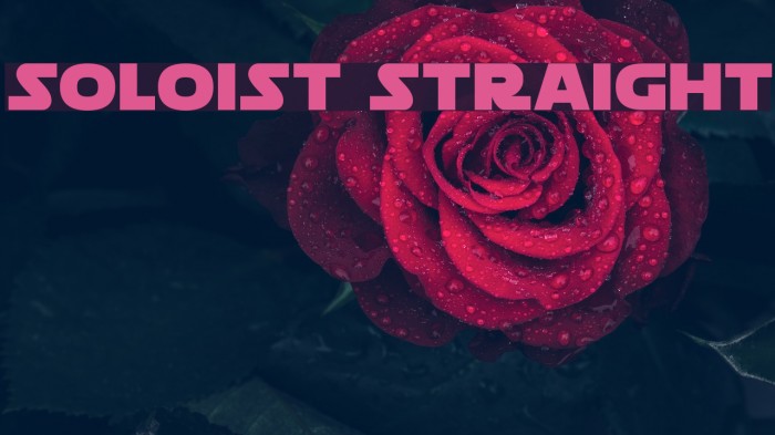 Soloist Straight Example 2