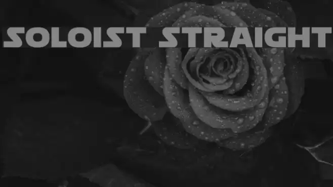 Soloist Straight Font examples