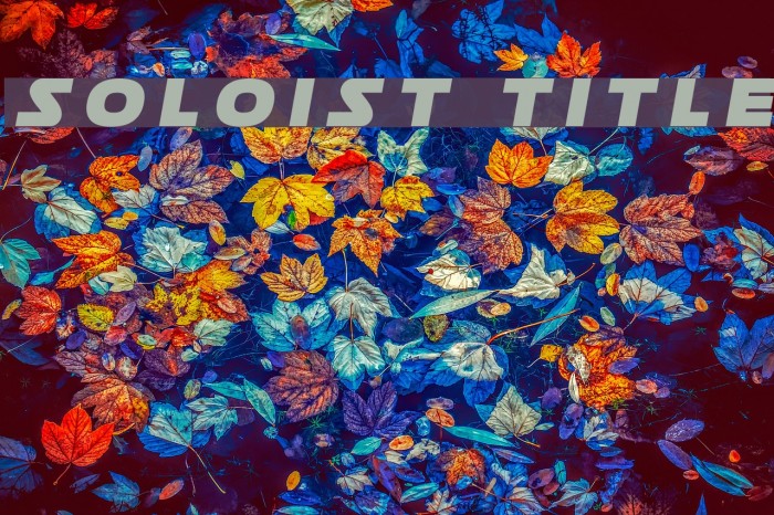 Soloist Title Font examples