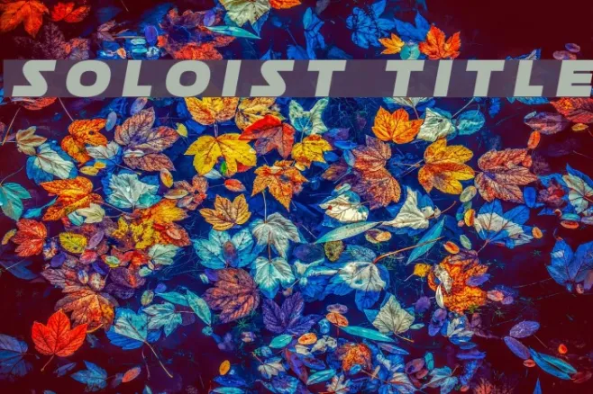 Soloist Title Example 2