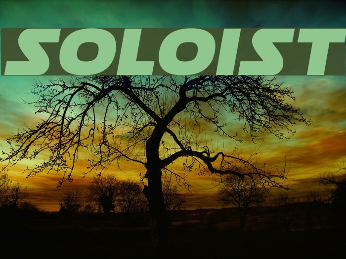 Soloist Font examples