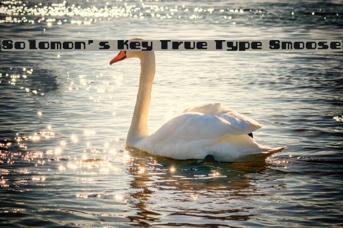 Solomon's Key True Type Smoose Font examples