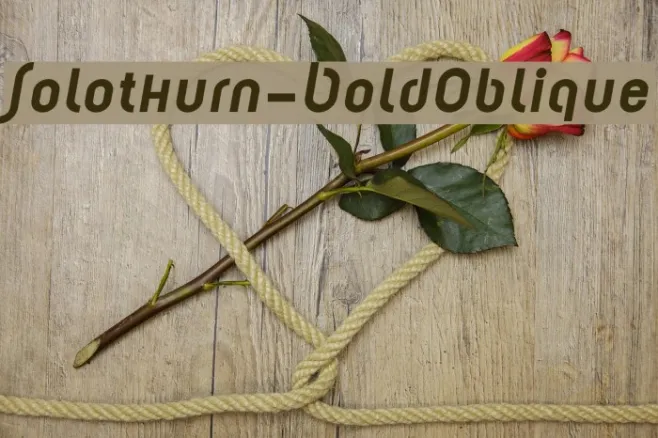 Solothurn-BoldOblique Example 2