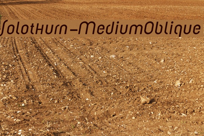 Solothurn-MediumOblique Example 1