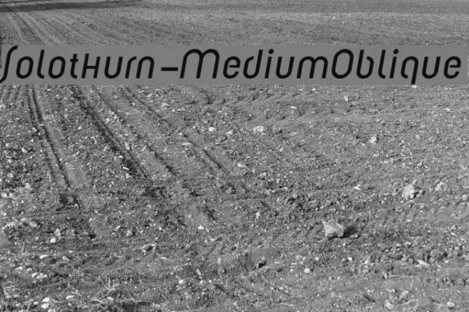 Solothurn-MediumOblique Font examples