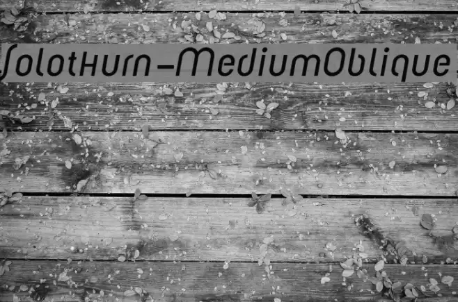 Solothurn-MediumOblique Font examples