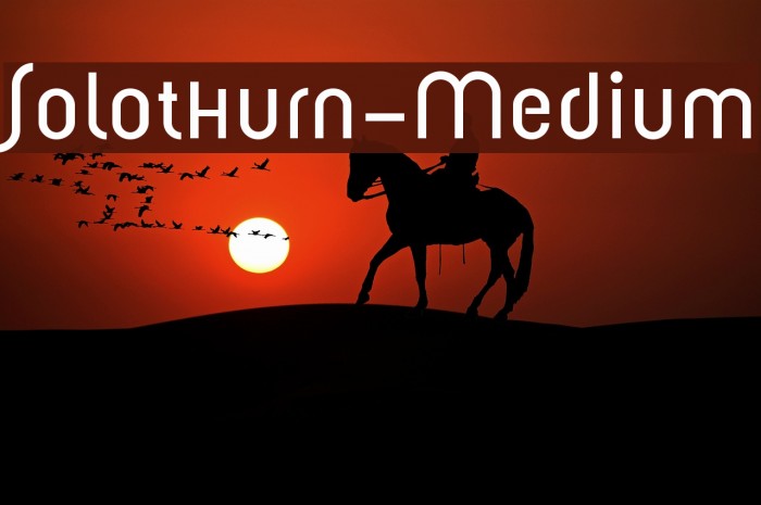 Solothurn-Medium Font examples