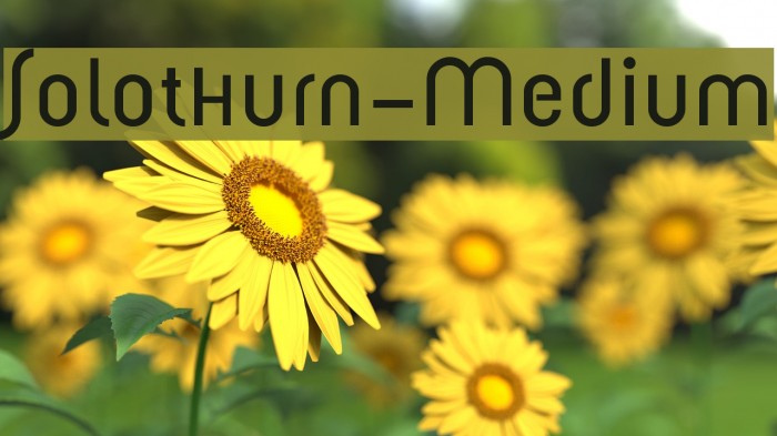 Solothurn-Medium Font examples
