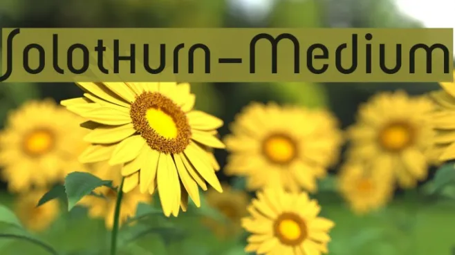Solothurn-Medium Example 3