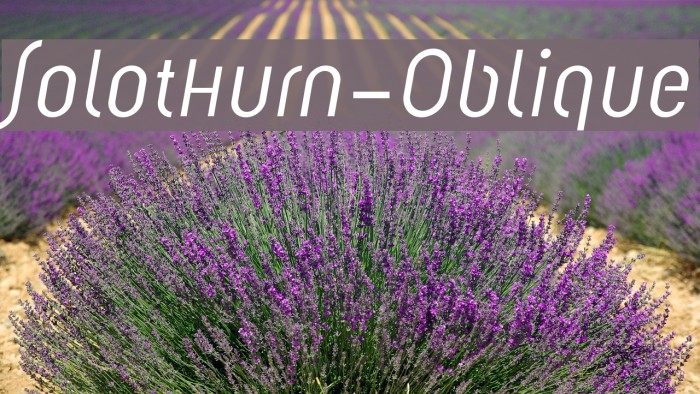 Solothurn-Oblique Font examples