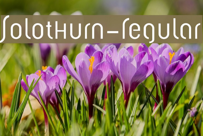 Solothurn-Regular Example 1