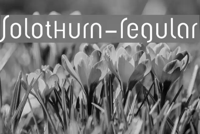 Solothurn-Regular Font examples