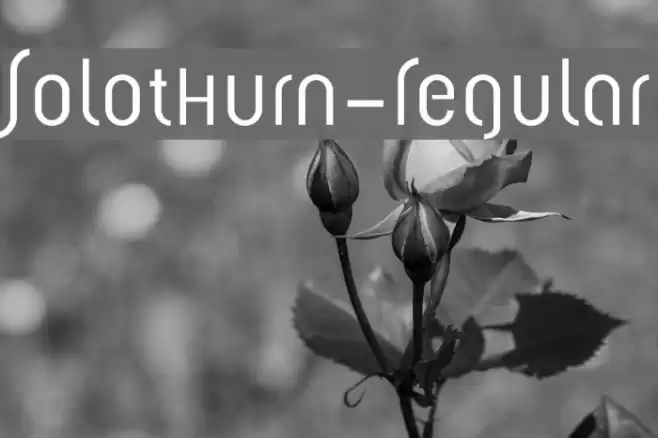 Solothurn-Regular Font examples