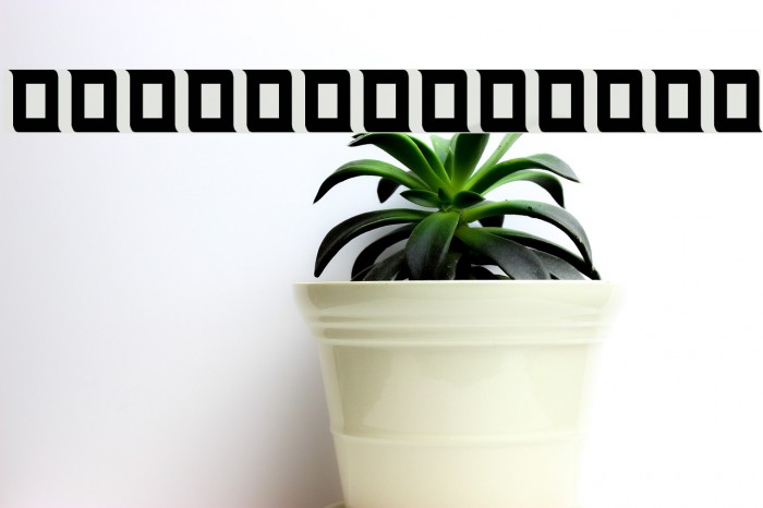Soltaan II Font examples