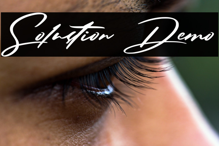 Solustion Demo Example 2