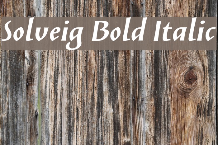 Solveig Bold Italic Fonte examples