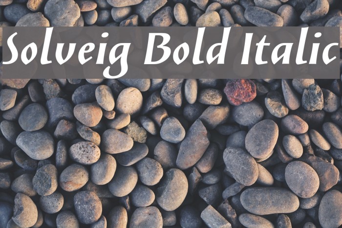 Solveig Bold Italic Fonte examples