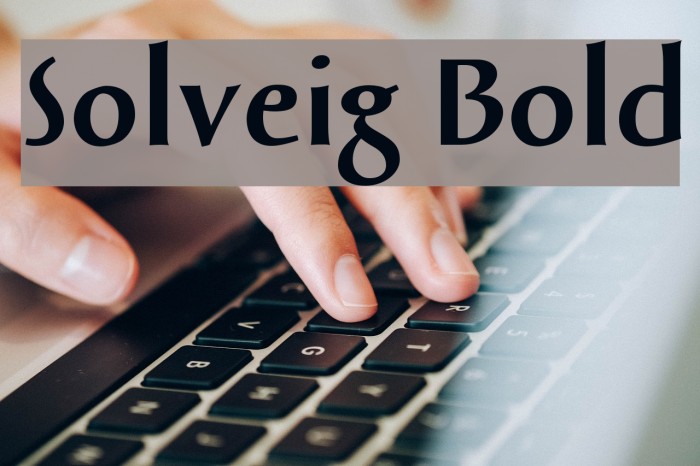 Solveig Bold Fonte examples