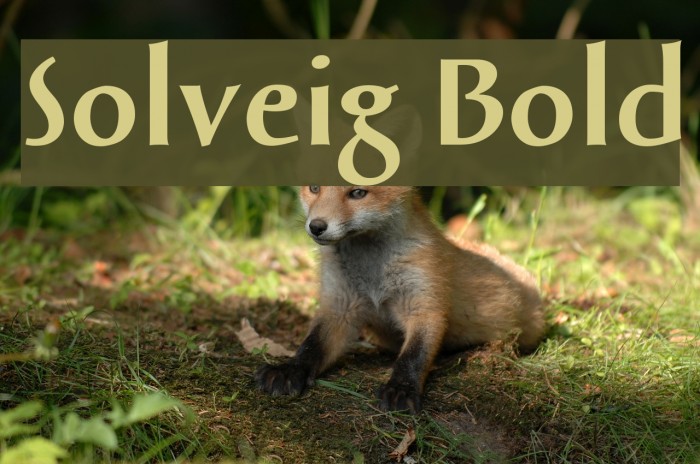 Solveig Bold Fonte examples