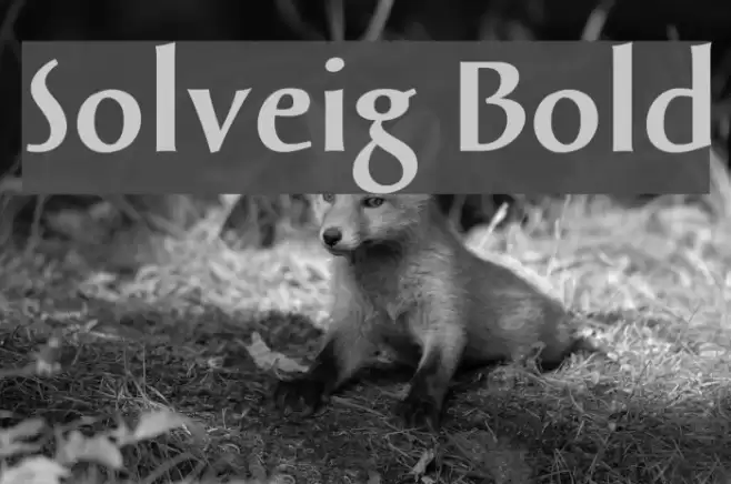 Solveig Bold Font examples
