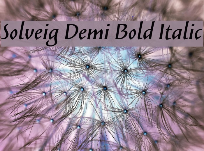 Solveig Demi Bold Italic Font examples