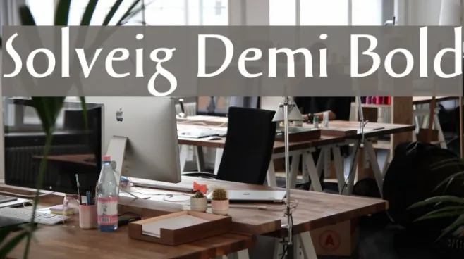 Solveig Demi Bold Example 1