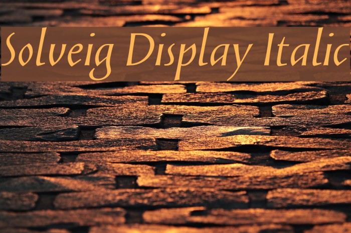 Solveig Display Italic Font examples