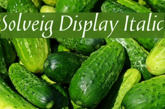 Solveig Display Italic Example 3