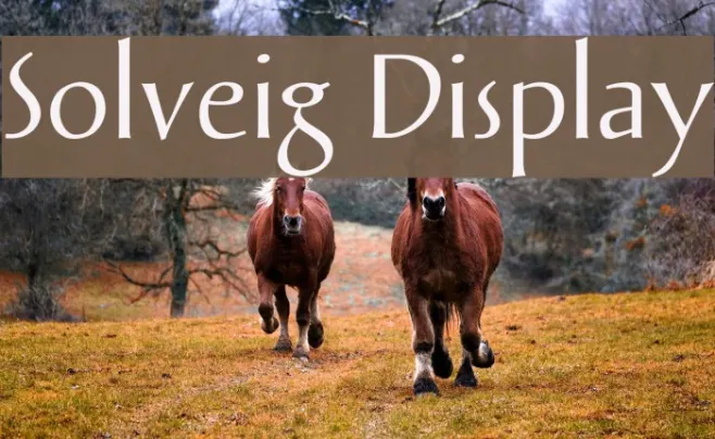 Solveig Display Example 2