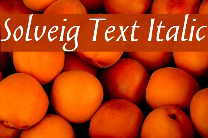 Solveig Text Italic Font examples