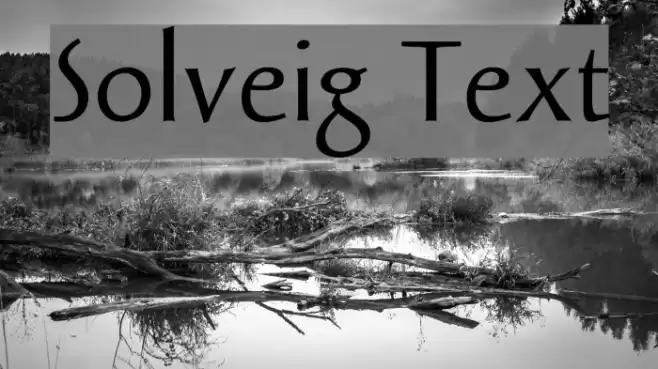 Solveig Text Font examples