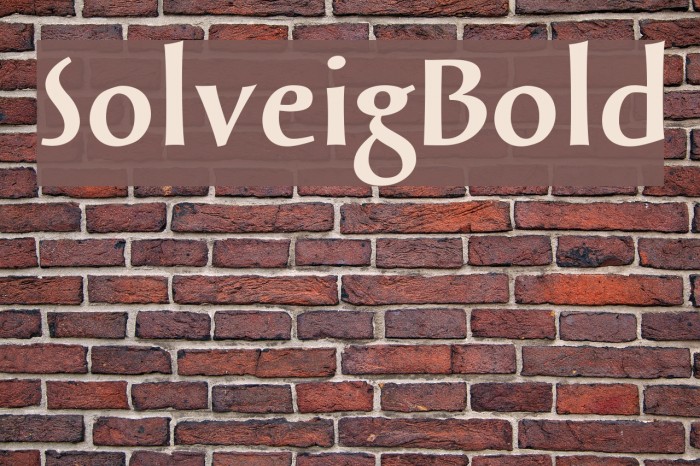 SolveigBold Fonte examples