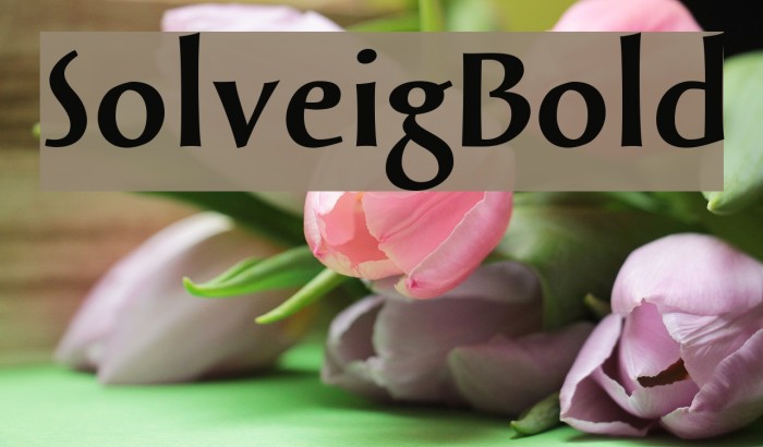 SolveigBold Fonte examples