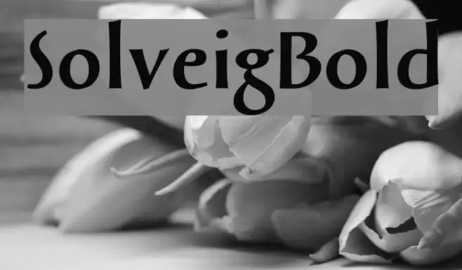 SolveigBold Font examples