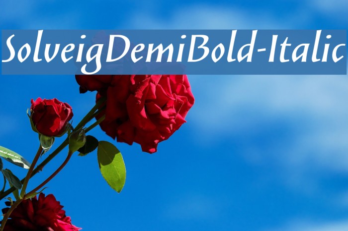 SolveigDemiBold-Italic Font examples