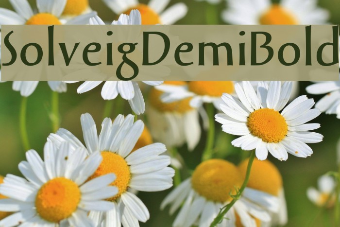 SolveigDemiBold Font examples