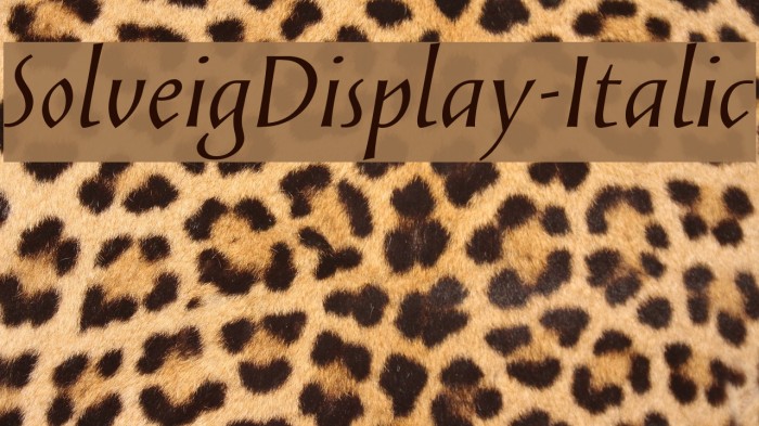 SolveigDisplay-Italic Font examples