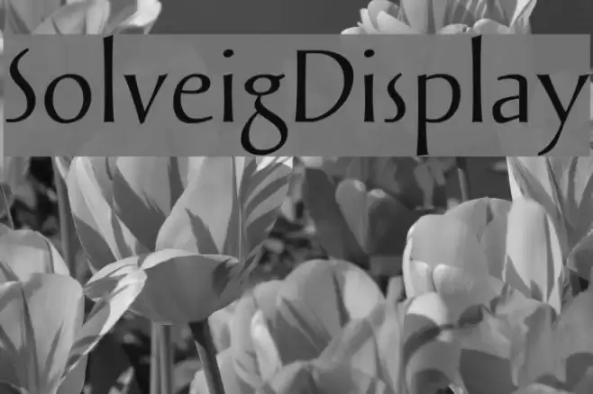 SolveigDisplay Fonte examples