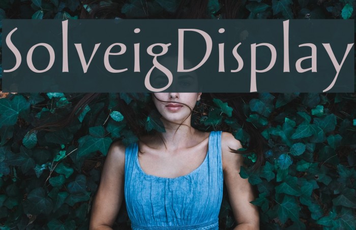 SolveigDisplay Font examples