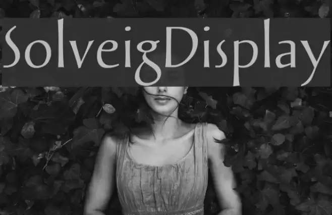 SolveigDisplay Fonte examples