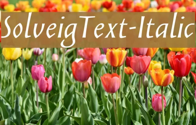 SolveigText-Italic Example 2