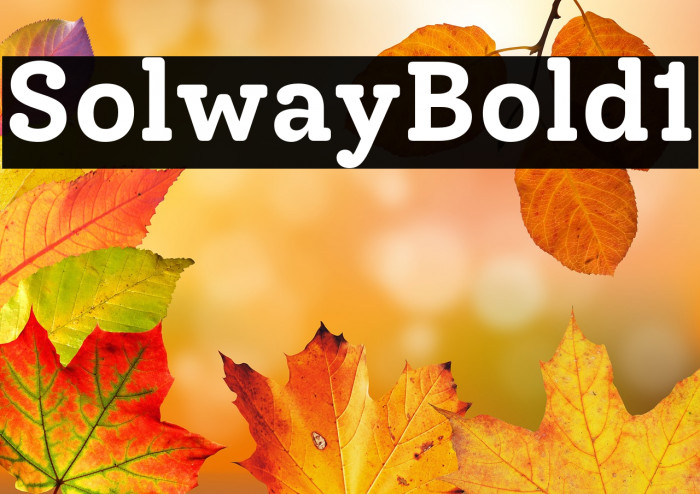 Solway Bold1 Example 1