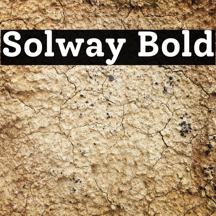 Solway Bold Font examples
